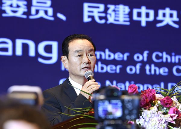 全国政协委员、民建中央常委马国湘发言