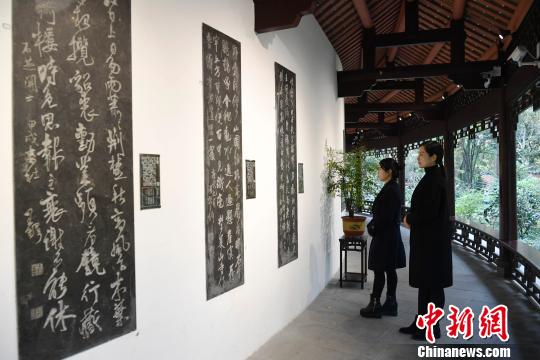 “杜甫千诗碑”吸引参观者。　安源 摄