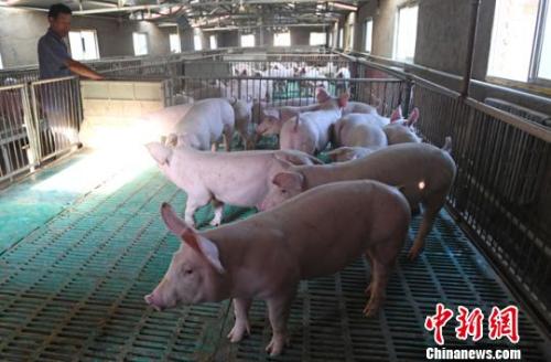 资料图 杨艳敏 摄 资料图 杨艳敏 摄