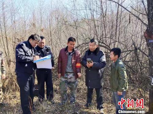 工作人员查看远红外相机记录 东北虎豹国家公园管理局天桥岭局供图 摄 工作人员查看远红外相机记录 东北虎豹国家公园管理局天桥岭局供图 摄