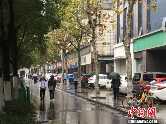 武汉进入阴雨模式，气温偏低 马芙蓉 摄