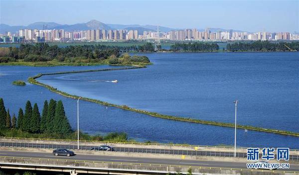 1123812746_15440176587321n 1123812746_15440176587321n