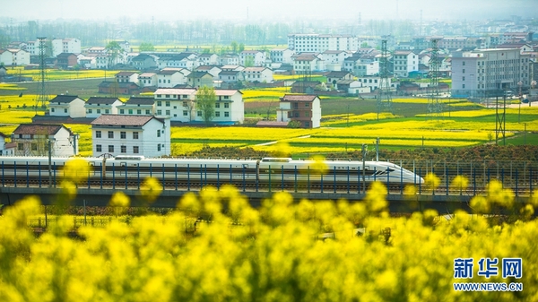 1122604833_15222255243731n 1122604833_15222255243731n