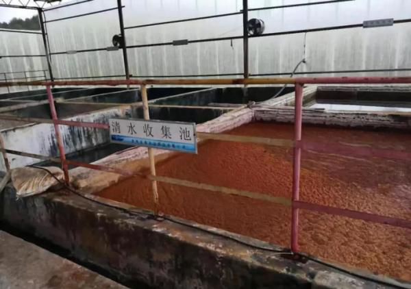 永鑫公司清水收集池“清水”不清。督察组供图