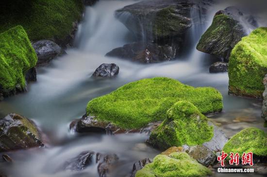 资料图:湖北神农架国家公园。 肖方敏 摄 点击进入下一页