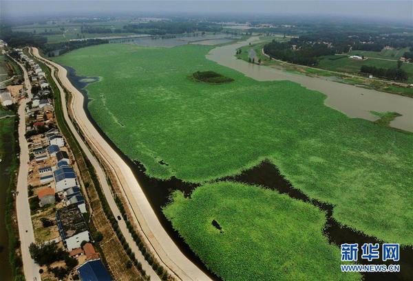 1210020673_15453046781591n 1210020673_15453046781591n