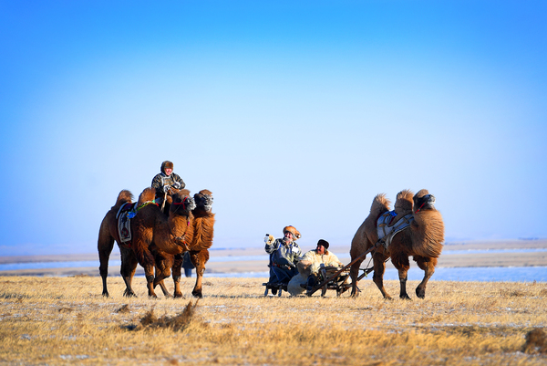 14美丽的呼伦贝尔冬季草原风情
