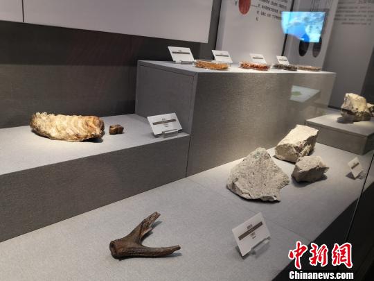 陈列的展品?！⊥τ?摄