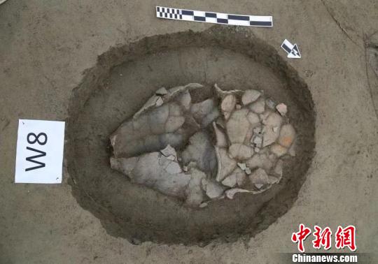 图为瓮棺葬?！≈有?摄