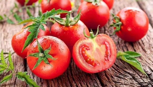 MAIN201812280917218899791049093 MAIN201812280917218899791049093