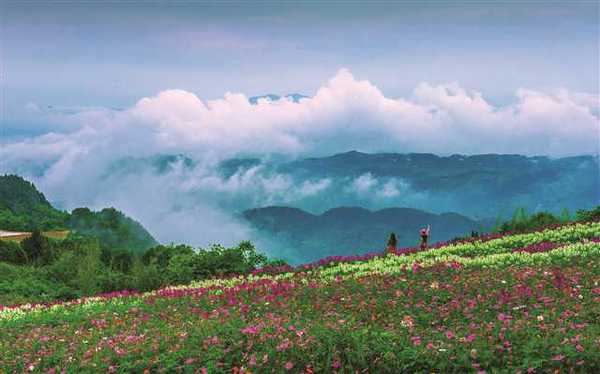 7ed8565307644cccb7d07003a8f32ca9 7ed8565307644cccb7d07003a8f32ca9