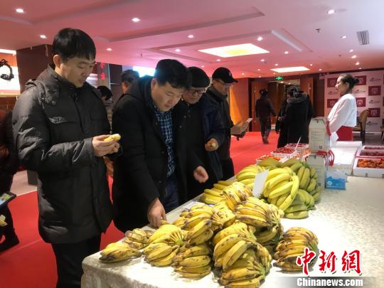 链接东盟中国首条“南菜北运”铁路绿色通道明年扩容