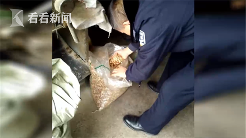 d95ab147ba63252d8cbfcf12395a84d8.png 捕获1_副本.png