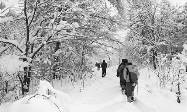 C2019-01-02zx601_P_1_372_484_1302_1042 C2019-01-02zx601_P_1_372_484_1302_1042