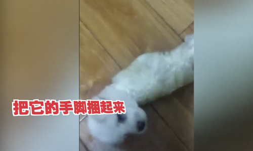 4dd2ee261e578d3477a7e78a58490bb6.png 4dd2ee261e578d3477a7e78a58490bb6.png