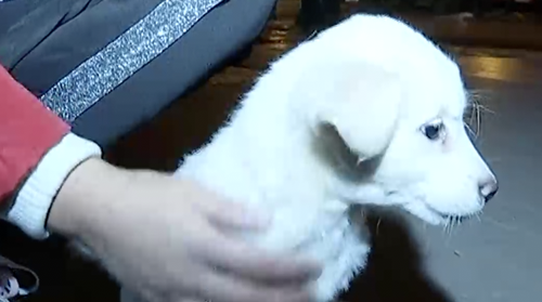 dbaacd0980dda08ba0cf4e22291ed739.png dbaacd0980dda08ba0cf4e22291ed739.png