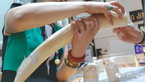 2018年8月11日，北京十里河雅园国际珠宝厅，一猛犸象牙销售商向记者展示店内隐藏的现代象牙。 新京报记者王嘉宁 摄