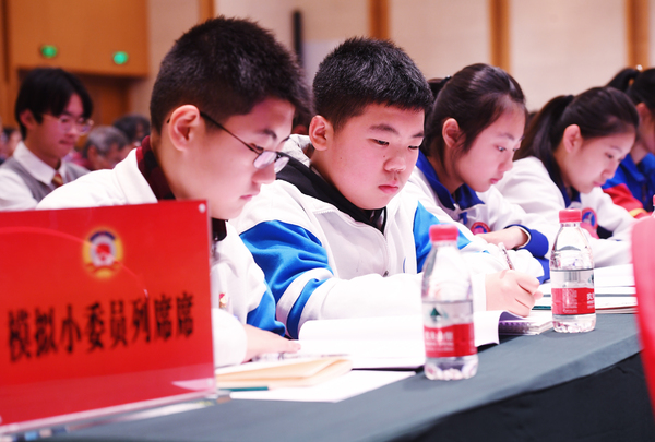 007模拟小委员列席通州区第六届委员会第三次会议