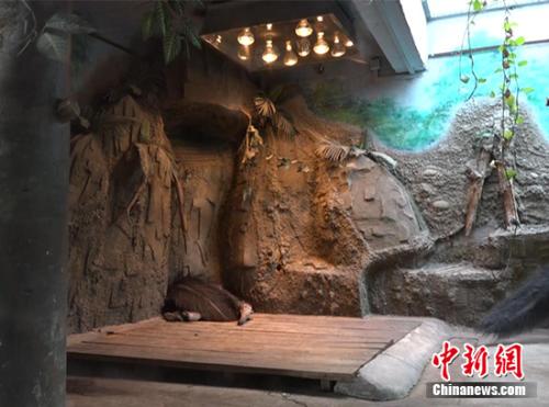 点击进入下一页