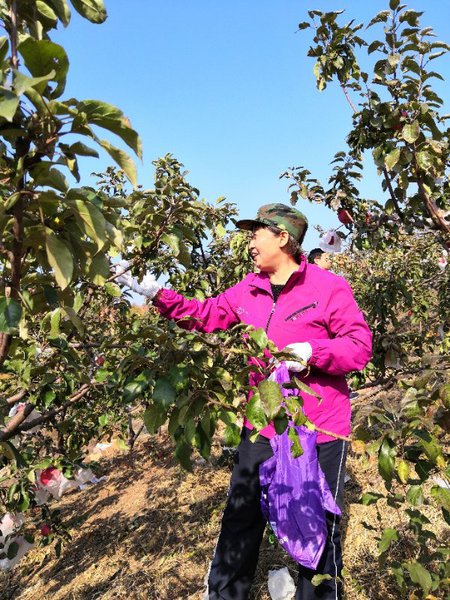 C20190114001-zx5 C20190114001-zx5