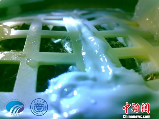 嫦娥四号生物科普载荷内长出月球第一片植物嫩芽