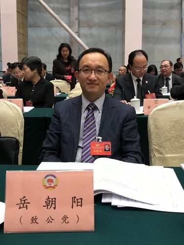 岳朝阳委员_副本 岳朝阳委员_副本