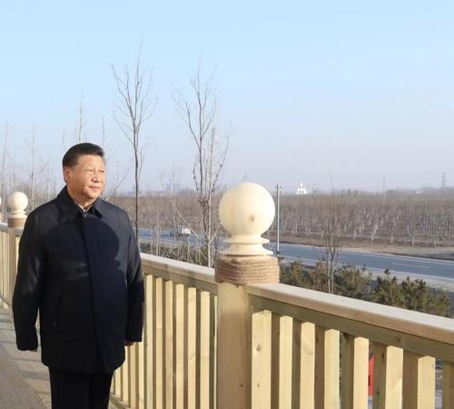 △习近平来到雄安新区“千年秀林”