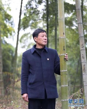 Cn4APlw729iAGNqiAACcGoIXZCs430 Cn4APlw729iAGNqiAACcGoIXZCs430