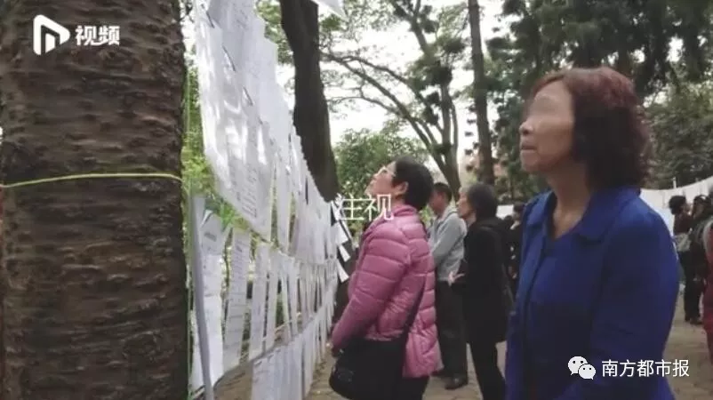 广州相亲角体验:90后和父母辈观念差距大