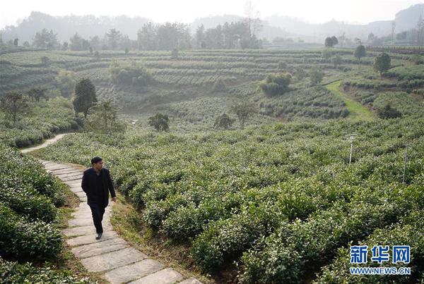 Cn4AP1xOUGCABxcxAAI_DbHfBwQ981 Cn4AP1xOUGCABxcxAAI_DbHfBwQ981