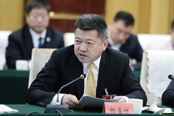 3、杨喜林委员发言