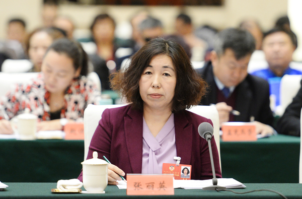 006、张丽英委员发言 - 副本