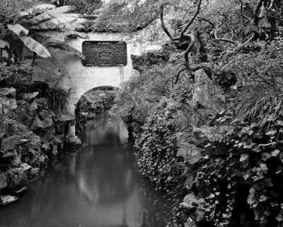 黑白底片上的林泉仙境