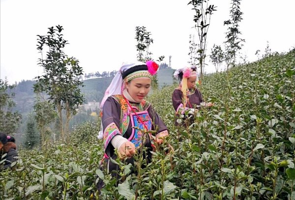 微信图片_20190131155445 微信图片_20190131155445