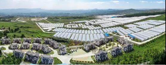 恒大二村蔬菜基地 恒大二村蔬菜基地