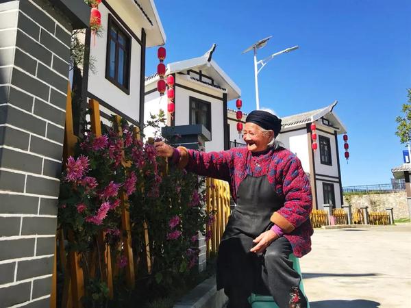 张奶奶门前赏花 张奶奶门前赏花