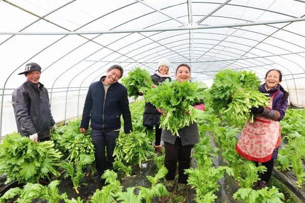 彭德友(左二)与工友们喜获丰收 彭德友(左二)与工友们喜获丰收