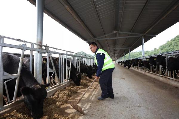 丁学志在育种场务工 丁学志在育种场务工