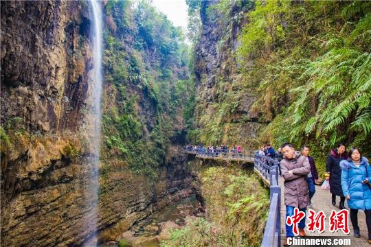 春节期间，游客游览恩施大峡谷 胡成勇 摄