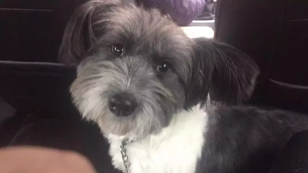 90后姑娘为躲亲戚催婚 连续3年春节长假一人游