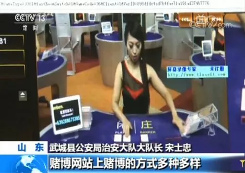 团伙赌资流水达数百亿落网:23万人参赌无一人能赢