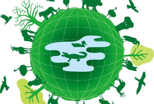 0023006567095127_b_副本 0023006567095127_b_副本