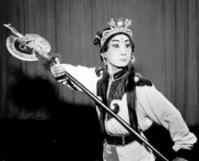 C20190223008-zx5 C20190223008-zx5