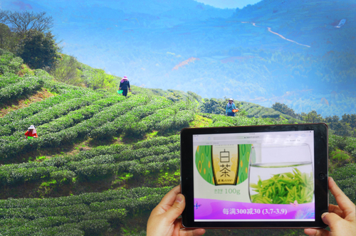 C20190304001-zx141 C20190304001-zx141