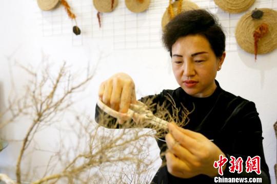 图为兰州艺人修剪花道作品?！「哒?摄