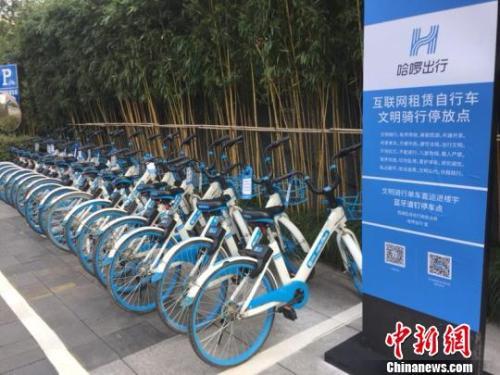 哈啰单车停放点。应新睿 摄