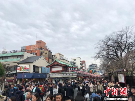 春季出境游升温原产地“打卡”、“种太阳”之旅等受追捧