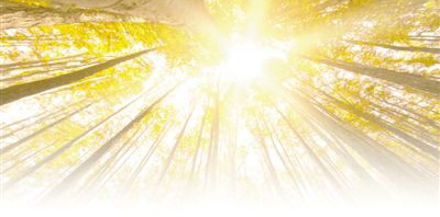 1553209489607_1 1553209489607_1