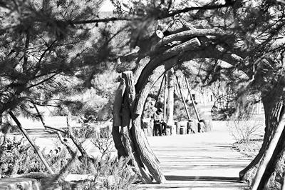 点击进入下一页