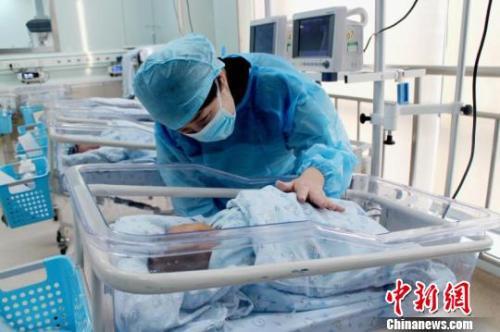 资料图。芊烨 摄